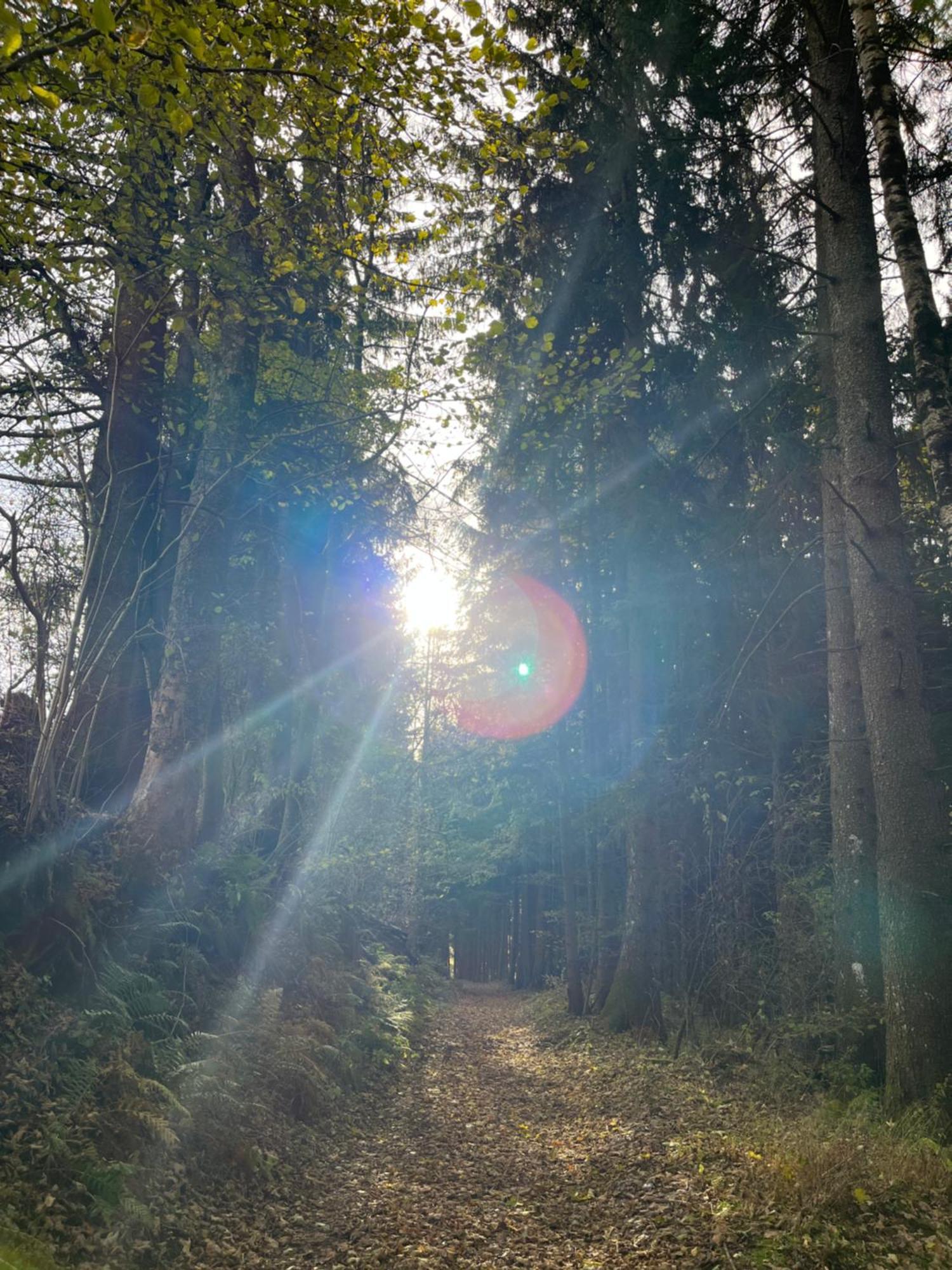 Fewo Loewenherz Seeboden Luaran gambar
